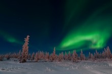 Aurora Borealis / ***
