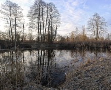 Am Morgen des Frühlings / ***