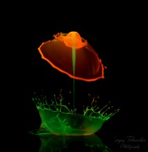 Drops im ultravioletten ... / ***