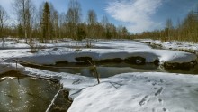 März in Vologda ... / ***