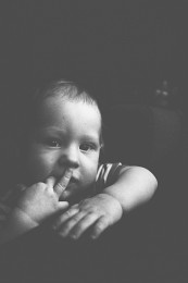 Sohn / ***