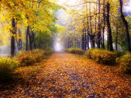 Herbstfarben / ***