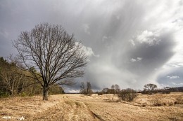 Jagte die Wolken / ***