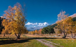 Autumn Sofiaebene / ***