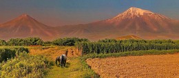 Morgen im Ararat-Tal / ***