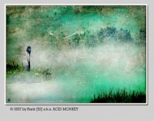 VELVET MORNING / ***