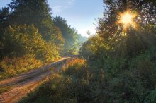 Forstweg / ***