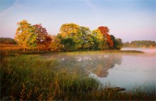Palette des Herbstes / ***