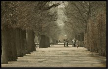 In den alten Park / ***