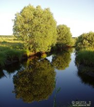 Teich / ***