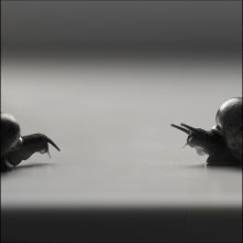 2..... / ***