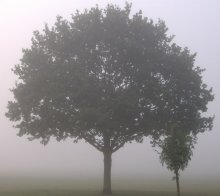 Große und kleine / ***