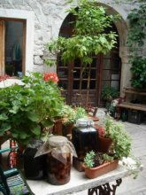 Patio / ***
