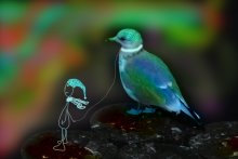Über die Reise zum Vogel des Glücks und der verlassenen Blog .. / ***
