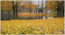 Herbst / ***