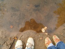 ... Der Teich / ***