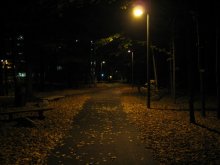 Nacht, Straßenlaternen ... / ***