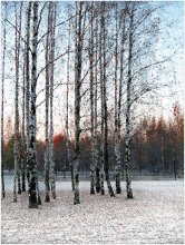 Karbysheva / ***