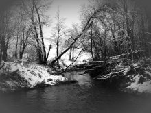 Fluss / ***