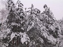 Winter kamen 2 / ***