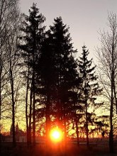 Morgen in das Dorf / ***