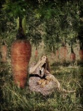 Daucus carota / for fun