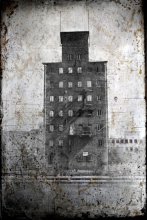 Das Haus in der Elm Street / ***