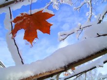 Der erste Schnee / ***