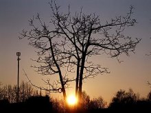 wohin es geht die Sonne? / ***