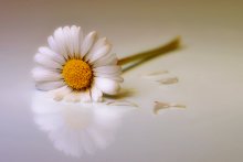 Und es war eine ...... / ***