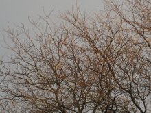 Melancholie / 5.11.2007