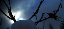 Bald Nacht / ***