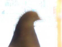 schwer vorstellbar, / ***