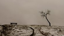 zwei / ***