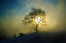 Am Ende der Erde, ruht, wo die Sonne! / ***