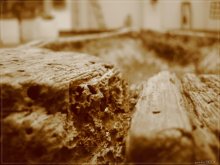 Broken karyto / ***