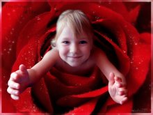 Blumen des Lebens ... Teil 1 / ***