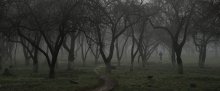 alone in the mistwood / ***