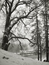 Winter schlafen 4 / ***