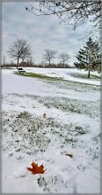 Wintermorgen ruhigen Innenhof der weiß und kalt gemacht .. / ***