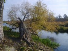Ort der Kraft / .....
