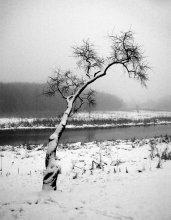 Winter sleep 5 / ***