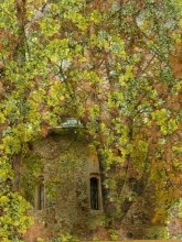 Fairytale Kolozha / ***