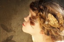 Golden Dream / ***