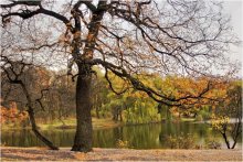 Centenary Herbst / ***