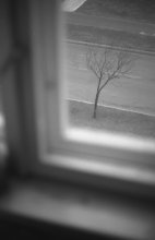 Unter dem Fenster / ***