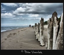 Kurische Nehrung / no comment