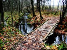 Herbst Märchen / ***