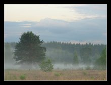 Nach dem Regen / ***