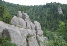 Rock / ***